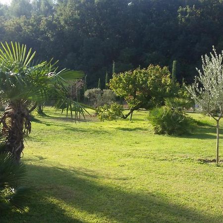 Provence Bed and Breakfast Carpentras Eksteriør billede
