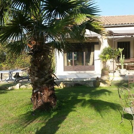 Provence Bed and Breakfast Carpentras Eksteriør billede